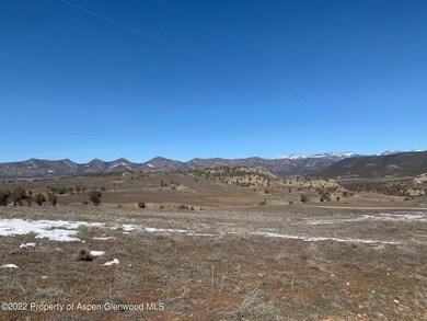 IMG_4941
