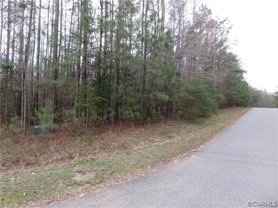 7001 Iden Place, Quinton, VA 23141 - photo 2