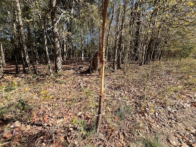 Al-10, Shorterville, AL 36373 - photo 6