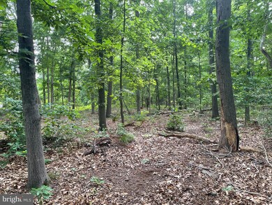 0 unit NJGL2043688, Glassboro, NJ 08028 - photo 5