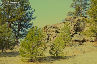 View of nature
