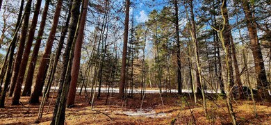 On Mishonagon Way, Lac Du Flambeau, WI 54538 - photo 7