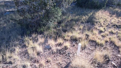 30863 W Basconia Rd, Seligman, AZ 86337 - photo 2