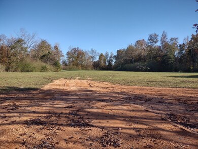 547 Horseshoe Bend Rd, Flatwoods, TN 37096 - photo 2