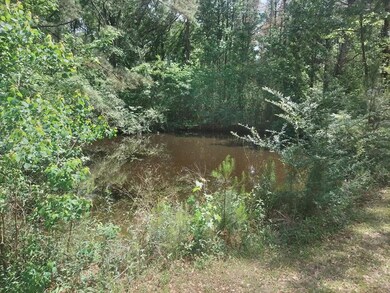 30 Sassy Ln, Laurel, MS 39443 - photo 5