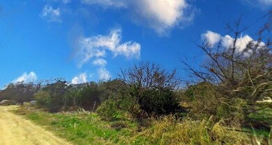 27069 Stonewood Dr, Whitney, TX 76692 - photo 2