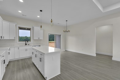 553 State Road S-42-1879, Chesnee, SC 29323 - photo 5