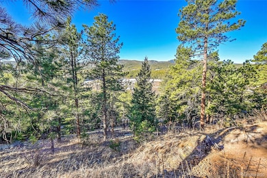 27292 Ridge Trail, Conifer, CO 80433 - photo 7