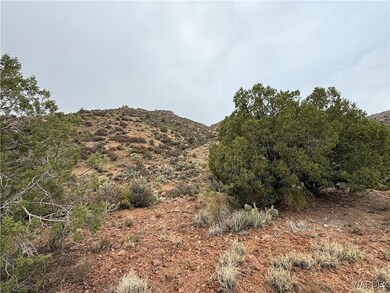 000 Between Silver Springs and Willow Creek, Kingman, AZ 86401 - photo 7