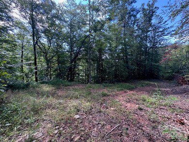 508 Old Bee Tree Rd, Swannanoa, NC 28778 - photo 5