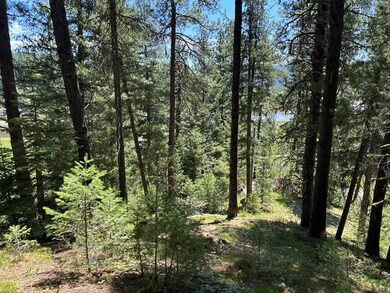 Nicely Wooded, With River & Mountain Views