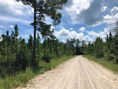 tbd Carriage Dr unit Lot B, Loris, SC 29569 - photo 5