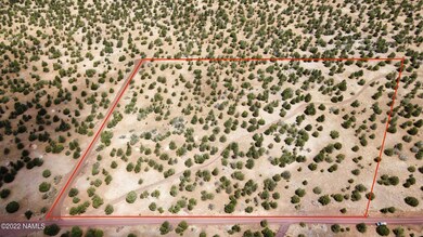 RemoteMediaFile_6553931_0_2022_07_12_11_