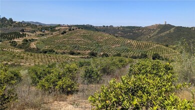 11160 Berry Rd, Valley Center, CA 92082 - photo 4