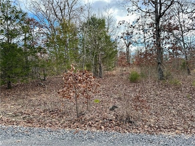 TBD Corner of W Boudinot & S Saddle Rock Dr, Park Hill, OK 74451 - photo 2