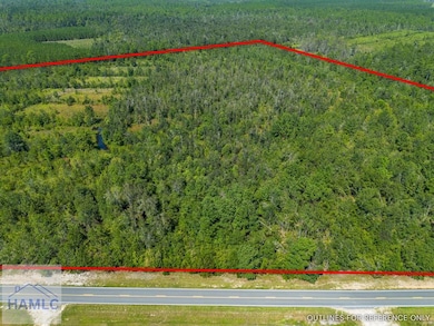 0 Old Surrency Rd unit 162811, Baxley, GA 31513 - photo 5