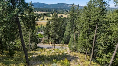 12542 E Chester Ridge Ln unit Lot 5, Spokane, WA 99206 - photo 7