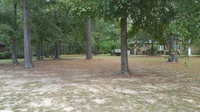 NICE SHADE TREES ON THE LOT
