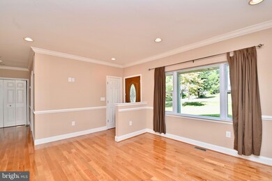 3423 Spring Dr, Alexandria, VA 22306 - photo 6