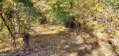 Lot 485A1 Reid Dr, Front Royal, VA 22630 - photo 5