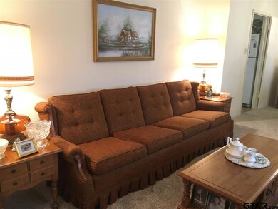 12813 Lamern Dr, Tyler, TX 75707 - photo 4