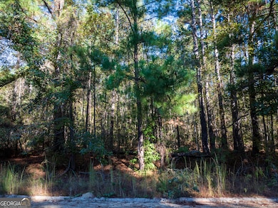 2.73 ACRES Gillespie Rd unit 4, Millen, GA 30442 - photo 2