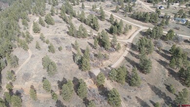 111 Tower Place, Pagosa Springs, CO 81147 - photo 4