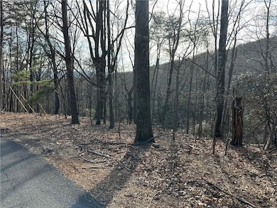 Lot 1141 Oglethorpe Mountain Road.