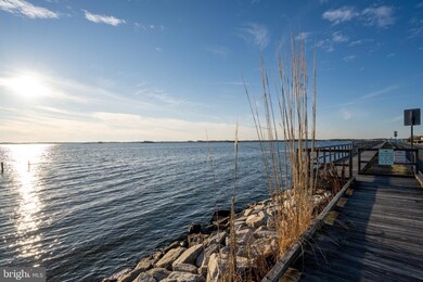 103 Sea Ln, Ocean City, MD 21842 - photo 4