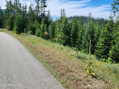 Paved Road Buffalo Lookout Way