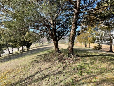 3036 Veterans Blvd Middle Creek Rd, Pigeon Forge, TN 37863 - photo 6