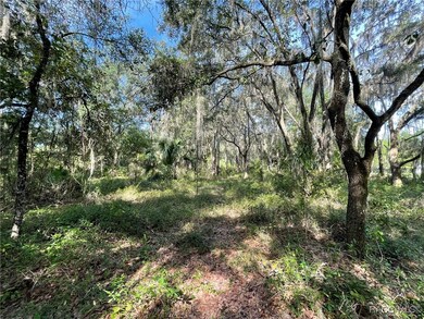 LOTS 13, 14 SW Shorewood Dr, Dunnellon, FL 34431 - photo 4