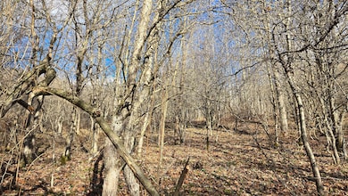 0 27 Acres Big Spring Elk unit 25-1445, Slatyfork, WV 26291 - photo 5