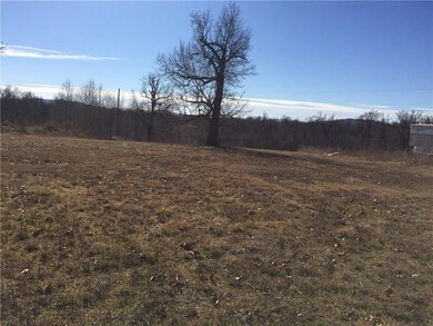 54.42 AC Butler St, Prairie Grove, AR 72753 - photo 3