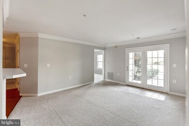 9050 Gracious End Ct unit 101, Columbia, MD 21046 - photo 3