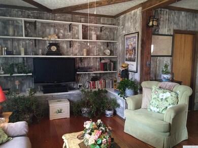 36 Pleasant View Dr, Tannersville, NY 12485 - photo 7