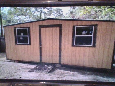 Building in back yard