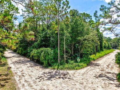 0 NE 51st Place, Williston, FL 32696 - photo 4