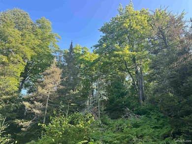 Off Indian Lake Rd, Michigamme, MI 49861 - photo 4