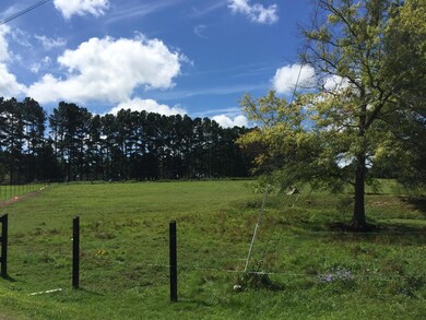 Front of property right side with a view of the pond to the right. This land is unrestricted so bring your animals and have your own mini-farm.