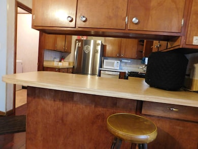 6110 Alex Rd, Grayling, MI 49738 - photo 4