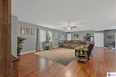 1736 Cora Wilborn Rd, Summer Shade, KY 42166 - photo 6