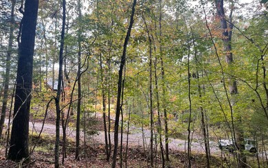 Additional View
