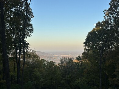 824 Valley View Dr, Altamont, TN 37301 - photo 5