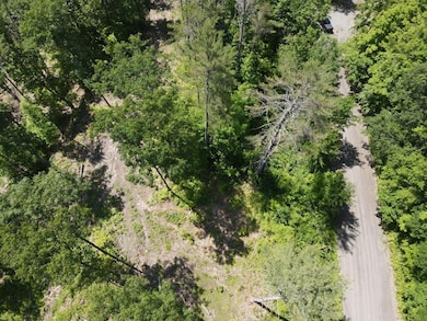 0 Denio Rd unit 24587948, Barnet, VT 05819 - photo 5