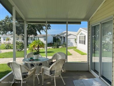 screen porch 1