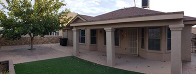 back yard