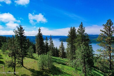 146399 E Falcon Crest Rd, Harrison, ID 83833 - photo 2