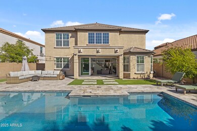 Gorgeous Backyard