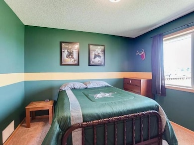 2006 Independence St S, Cambridge, MN 55008 - photo 6